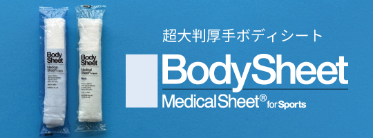 BodySheet �I�t�B�V�����z�[���y�[�W