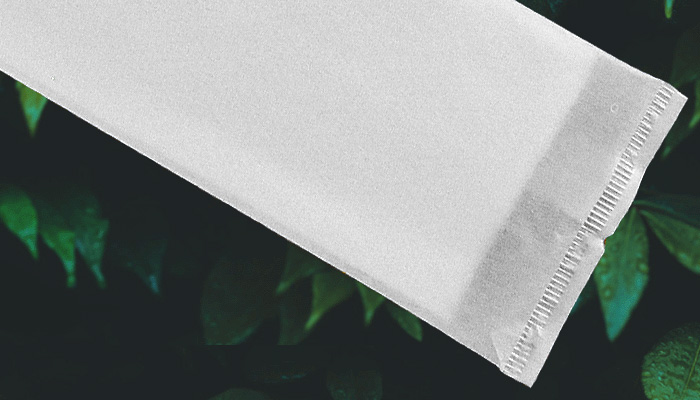 �G�N�X�g���a����